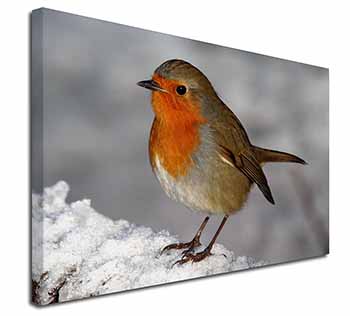 Robin on Snow Wall Canvas X-Large 30"x20" Wall Art Print