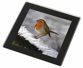 Robin on Snow Wall Black Rim High Quality Glass Coaster