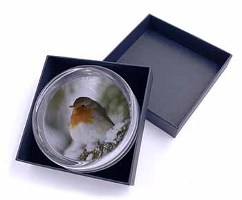 Robin Red Breast in Snow Tree Glass Paperweight in Gift Box