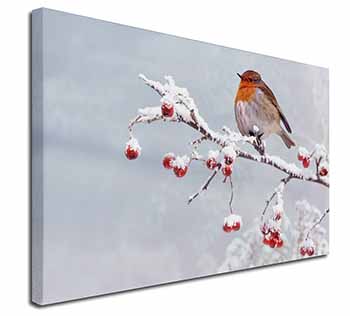 Robin on Snow Berries Branch Canvas X-Large 30"x20" Wall Art Print