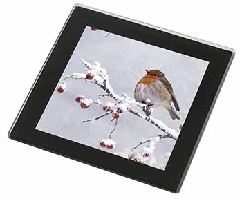 Robin on Snow Berries Branch Black Rim High Quality Glass Coaster