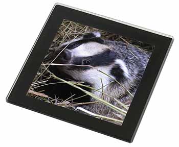 Badger in Straw Black Rim High Quality Glass Coaster