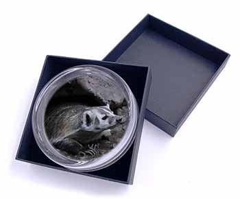 Badger on Watch Glass Paperweight in Gift Box