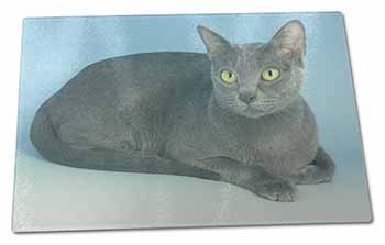 Large Glass Cutting Chopping Board Silver Grey Thai Korat Cat