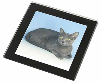 Silver Grey Thai Korat Cat Black Rim High Quality Glass Coaster