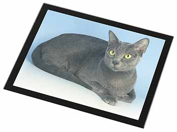 Silver Grey Thai Korat Cat Black Rim High Quality Glass Placemat