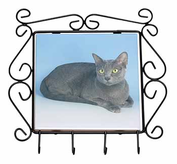 Silver Grey Thai Korat Cat Wrought Iron Key Holder Hooks