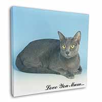 Thai Korat Cat 