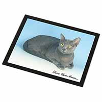 Thai Korat Cat 