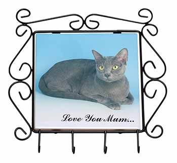 Thai Korat Cat 