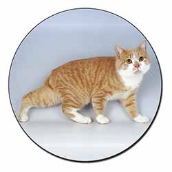 Ginger+White Manx Cat Fridge Magnet Printed Full Colour