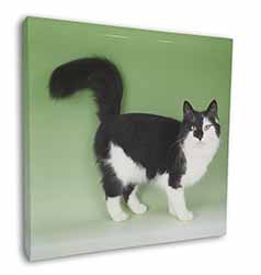 Black+White Norwegian Forest Cat Square Canvas 12"x12" Wall Art Picture Print