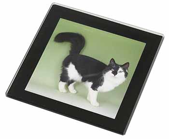 Black+White Norwegian Forest Cat Black Rim High Quality Glass Coaster