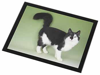 Black+White Norwegian Forest Cat Black Rim High Quality Glass Placemat