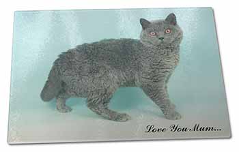 Large Glass Cutting Chopping Board Selkirk Rex Cat 