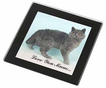 Selkirk Rex Cat 