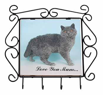 Selkirk Rex Cat 