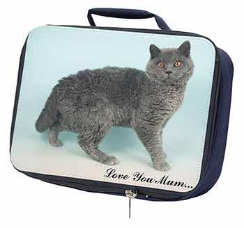 Selkirk Rex Cat 