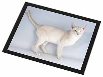 Tonkinese Cat Black Rim High Quality Glass Placemat