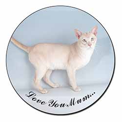 Tonkinese Cat 