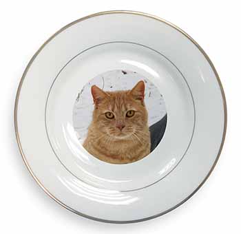 Pretty Ginger Cat Gold Rim Plate Printed Full Colour in Gift Box