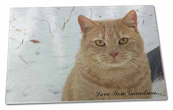 Large Glass Cutting Chopping Board Ginger Cat 