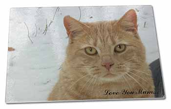 Large Glass Cutting Chopping Board Ginger Cat 