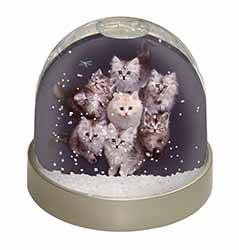 Cute Kittens+Dragonfly Snow Globe Photo Waterball