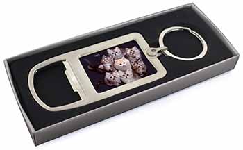 Cute Kittens+Dragonfly Chrome Metal Bottle Opener Keyring in Box