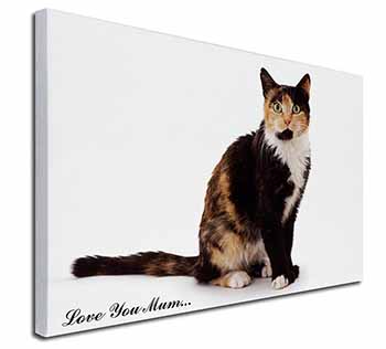 Tortoiseshell Cat 