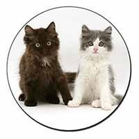 Cute Kittens Fridge Magnet Printed Full Colour