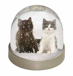 Cute Kittens Snow Globe Photo Waterball