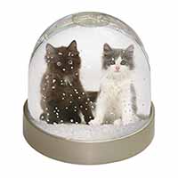 Cute Kittens Snow Globe Photo Waterball