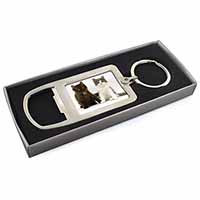 Cute Kittens Chrome Metal Bottle Opener Keyring in Box