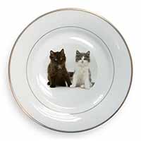 Cute Kittens Gold Rim Plate Printed Full Colour in Gift Box