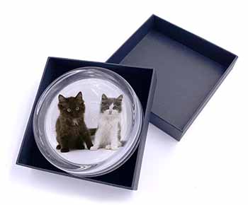 Cute Kittens Glass Paperweight in Gift Box