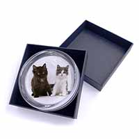 Cute Kittens Glass Paperweight in Gift Box