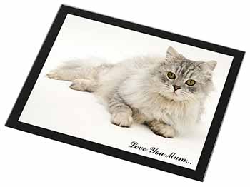 Chinchilla Persian Cat 