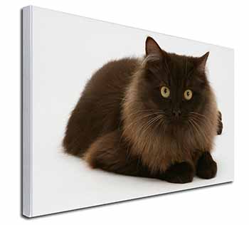 Chocolate Black Cat Canvas X-Large 30"x20" Wall Art Print