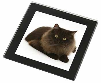 Chocolate Black Cat Black Rim High Quality Glass Coaster