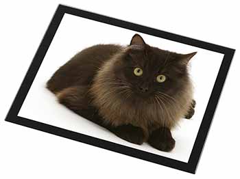 Chocolate Black Cat Black Rim High Quality Glass Placemat