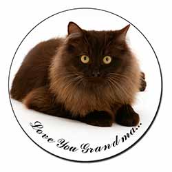 Browny Black Cat 