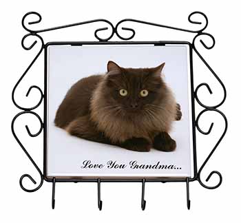 Browny Black Cat 