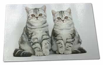 Large Glass Cutting Chopping Board Silver Tabby Kittens