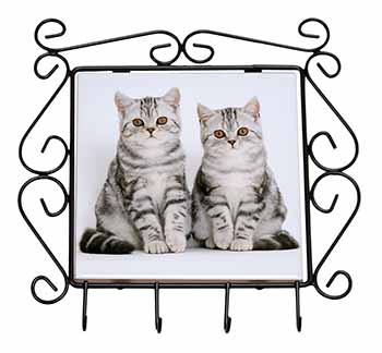 Silver Tabby Kittens Wrought Iron Key Holder Hooks