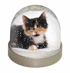 Cute Tortoiseshell Kitten Snow Globe Photo Waterball