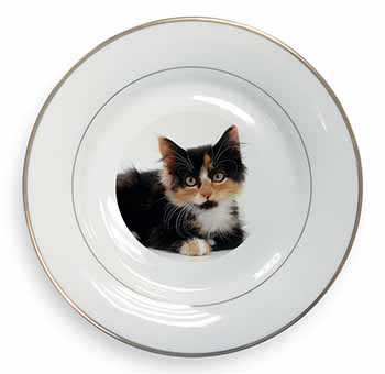 Cute Tortoiseshell Kitten Gold Rim Plate Printed Full Colour in Gift Box