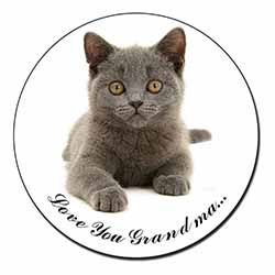 British Blue Cat 