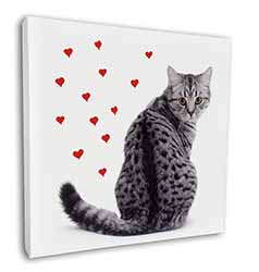 Silver Tabby Cat with Red Hearts Square Canvas 12"x12" Wall Art Picture Print