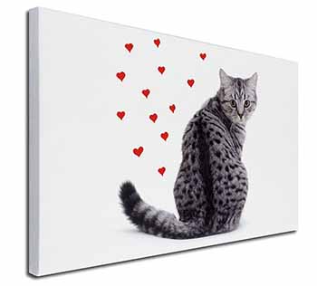 Silver Tabby Cat with Red Hearts Canvas X-Large 30"x20" Wall Art Print